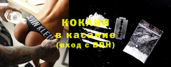 молекула духа Горнозаводск