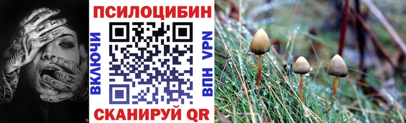 Галлюциногенные грибы GOLDEN TEACHER  Купить закладки  Алушта 